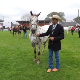 Expo Prado - Día 3 (70)