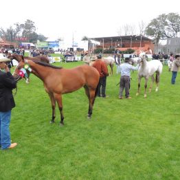 Expo Prado - Día 3 (96)