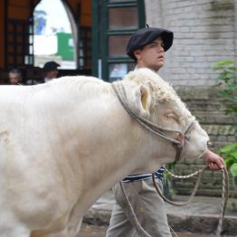 Expo Prado - Día 4 (39)