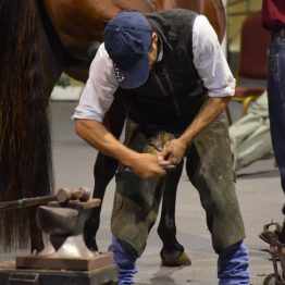 Expo Prado - Día 4 (42)