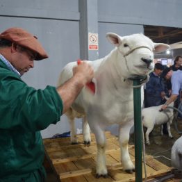 Expo Prado - Día 5 (4)