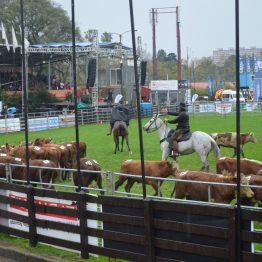 Expo Prado - Día 5 (41)