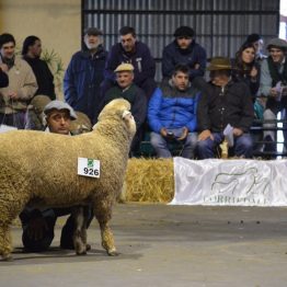 Expo Prado - Día 6 (26)