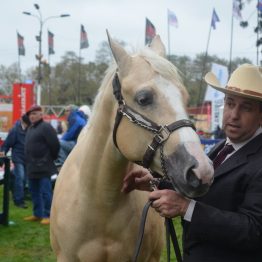 Expo Prado - Día 6 (33)