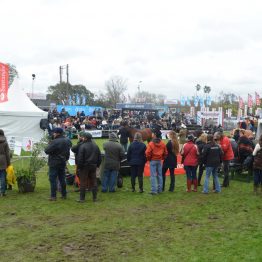 Expo Prado - Día 6 (49)