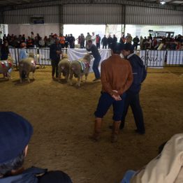 Expo Prado - Día 6 (51)