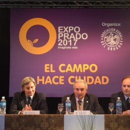 Expo Prado - Día 6 (8)