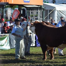 Expo Prado - Día 7 (19)