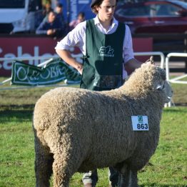 Expo Prado - Día 7 (25)