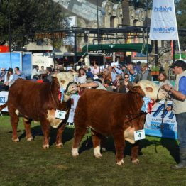 Expo Prado - Día 7 (30)