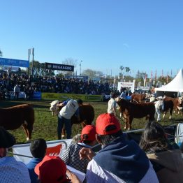 Expo Prado - Día 7 (31)