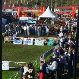 Expo Prado - Día 7 (34)