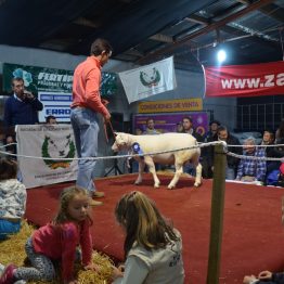 Expo Prado - Día 7 (82)