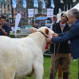 Expo Prado - Día 8 (10)