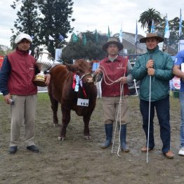 Expo Prado - Día 8 (28)