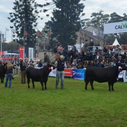 Expo Prado - Día 8 (5)