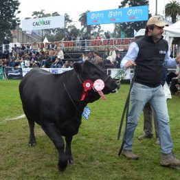 Expo Prado - Día 8 (6)