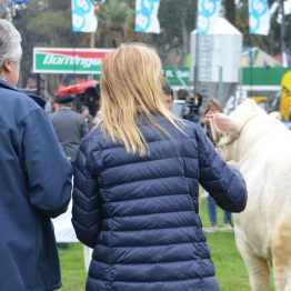 Expo Prado - Día 8 (8)