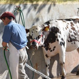 Fotos Expo Prado 2017 - Día 9 (12)