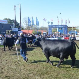 Fotos Expo Prado 2017 - Día 9 (20)