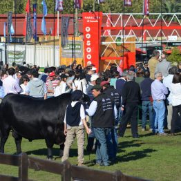 Fotos Expo Prado 2017 - Día 9 (27)