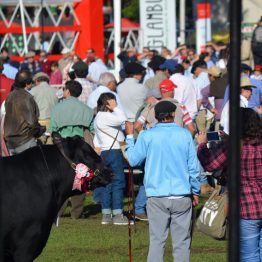 Fotos Expo Prado 2017 - Día 9 (33)