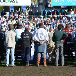 Fotos Expo Prado 2017 - Día 9 (35)