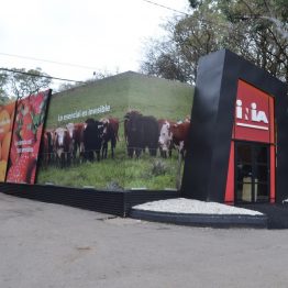 Stands Expo Prado 2017 (13)