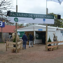 Stands Expo Prado 2017 (31)