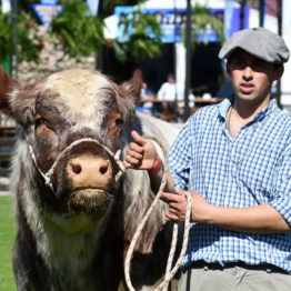 Fotos Expo Prado 2018 - Día 1 (81)