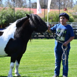 Fotos Expo Prado 2018 - Día 1 (83)