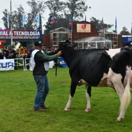 Fotos Expo Prado 2018 - Día 10 (58)