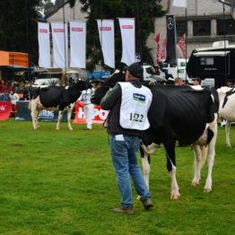 Fotos Expo Prado 2018 - Día 10 (59)