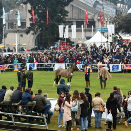 Fotos Expo Prado 2018 - Día 10 (62)