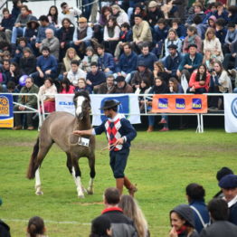 Fotos Expo Prado 2018 - Día 10 (64)