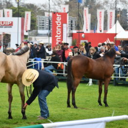 Fotos Expo Prado 2018 - Día 10 (71)