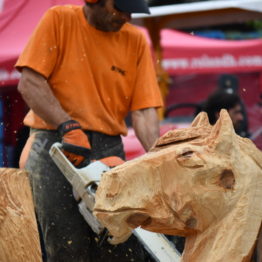 Fotos Expo Prado 2018 - Día 10 (75)