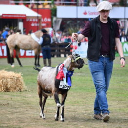 Fotos Expo Prado 2018 - Día 11 (101)