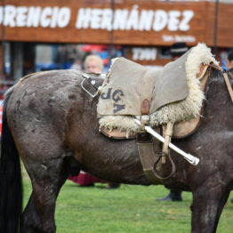 Fotos Expo Prado 2018 - Día 11 (103)