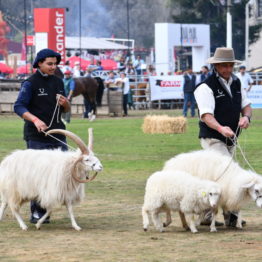 Fotos Expo Prado 2018 - Día 11 (105)