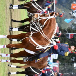 Fotos Expo Prado 2018 - Día 11 (107)