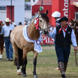 Fotos Expo Prado 2018 - Día 11 (107)