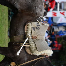 Fotos Expo Prado 2018 - Día 11 (108)