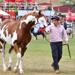 Fotos Expo Prado 2018 - Día 11 (115)