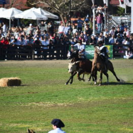 Fotos Expo Prado 2018 - Día 11 (122)