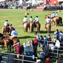 Fotos Expo Prado 2018 - Día 11 (126)