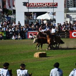 Fotos Expo Prado 2018 - Día 11 (127)