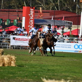 Fotos Expo Prado 2018 - Día 11 (128)