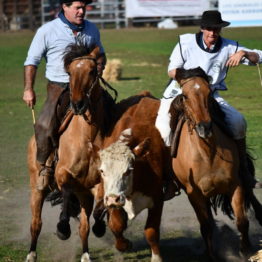 Fotos Expo Prado 2018 - Día 11 (130)