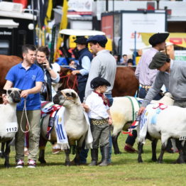 Fotos Expo Prado 2018 - Día 11 (20)